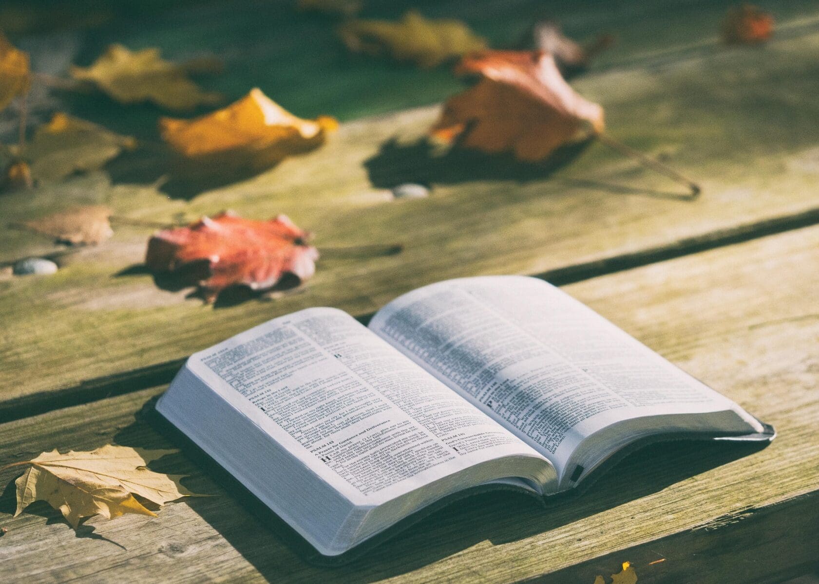 bible-1868070_1920